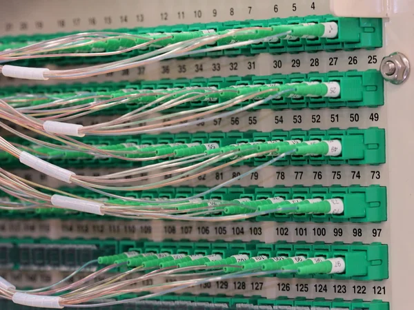 Conectores de fibra óptica na parte de trás de um painel de distribuição 576f que conecta casas a serviços de banda larga em uma fibra para a rede doméstica — Fotografia de Stock