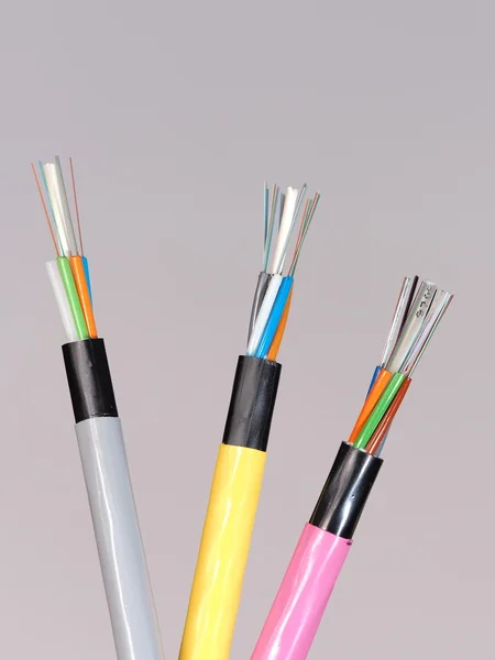 Different colored fiber optic cable ends with stripped jacket layers and exposed colored fibers left to right — Stock Photo, Image