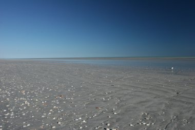 Mavi gökyüzü ve kabuk plaj eritebilir Broome arasındaki bağlantı noktası Headland seksen mil plajda benekli