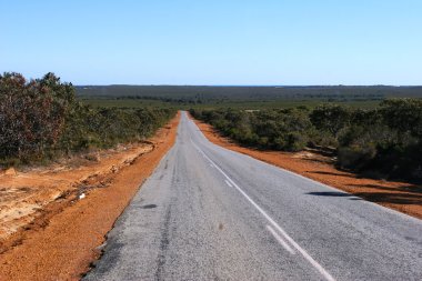 Sealed outback road lined with red earth and bushed leading towards horizon clipart