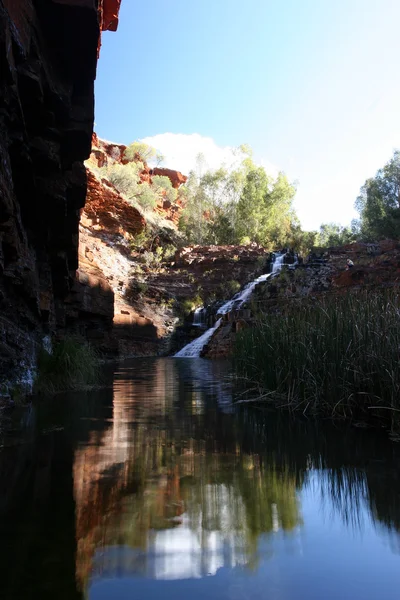 カリジニ国立公園西オーストラリアで崖と渓谷の泉 — ストック写真