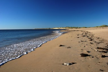 Sandy Endless Beach with Calm Sea and Blue Sky