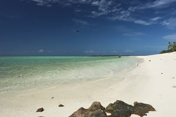 Spiaggia di sabbia bianca con rocce, oceano e cielo blu all'isola di Herron — Foto Stock