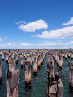Dizi eski Princes iskelede Port Phillip bay deniz suyundaki kütükleri.