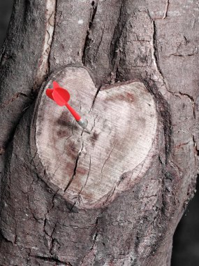 Kalp şekilli ağaç dalı siyah ve beyaz orta işaret eden kırmızı bir ok ile kesme