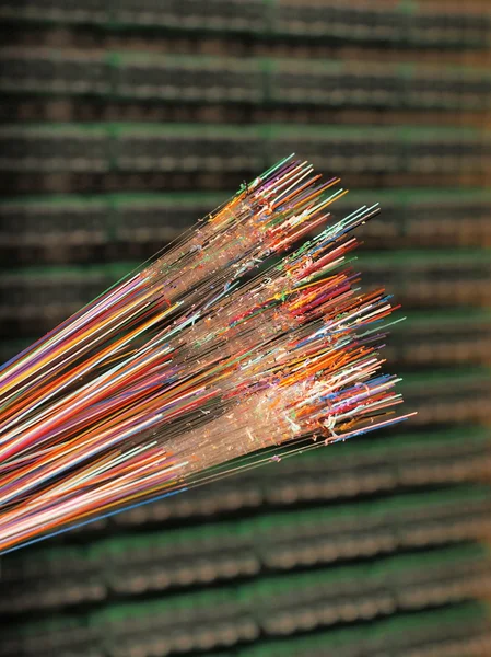 Optical fibers of 12 different colors — Stock Photo, Image