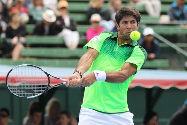 Fernando Verdasco en un partido de exhibición y práctica en Kooyong TC — Foto de Stock