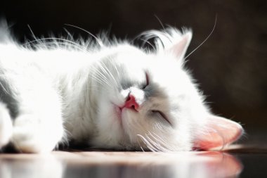 Güneşin ilk ışınları