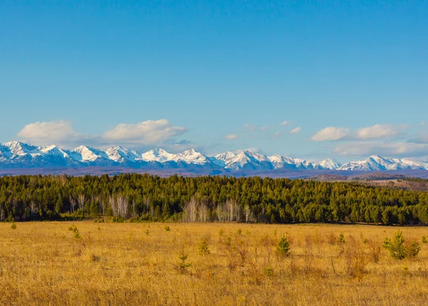 Snow  mountains with a green field in Siberia — Stock Photo, Image