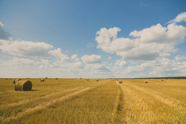 field after hay