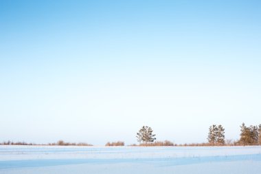 ufuk, ağaç ve orman kışın karda