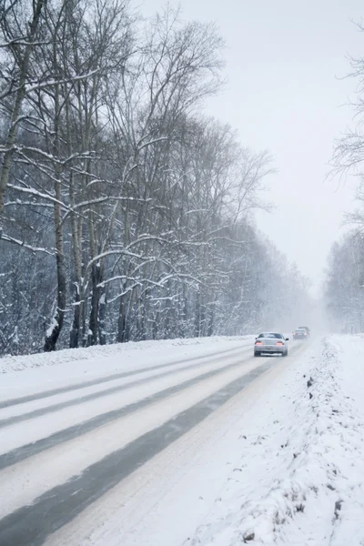 Winter drive through the woods — стоковое фото