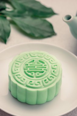 Karlı cilt mooncake.