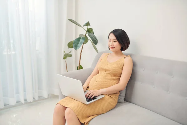 Smiley Schwangere Frau Mit Laptop Zuhause — Stockfoto