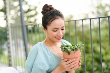 Ağaç, kenar balkona yerleştirilmiş bir tencerede ve bir kadın onu oradan topluyor..