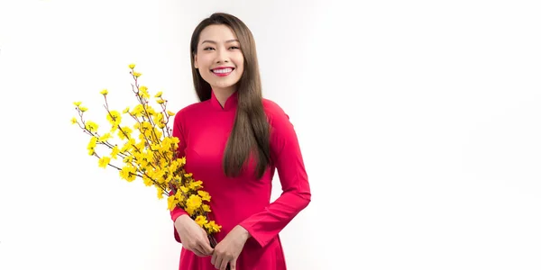 在农历新年 身穿越南风格红色衣服的美丽的亚洲女人手挽着荷米树 Ochna Integerrima 的花朵 — 图库照片