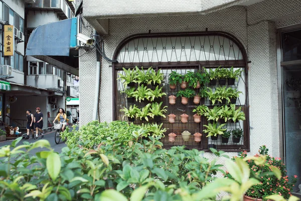 2018年7月2日台湾 台北市 近所の廊下の窓に植木鉢を植える — ストック写真