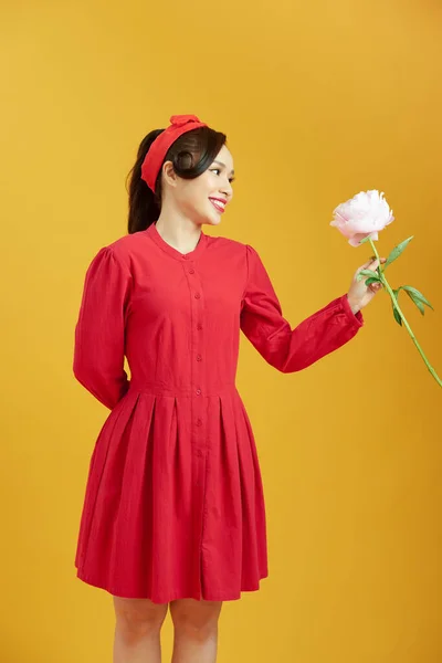 Jovem Encantadora Alegre Recebendo Peônia Rosa Seu Namorado Sobre Fundo — Fotografia de Stock