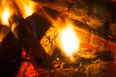 Ahşap yakma. Şömine odunları