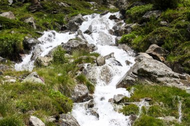 Dağ dere. Alp görünümü