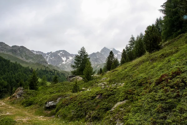 Una splendida vista sulle Alpi austriache — Foto Stock