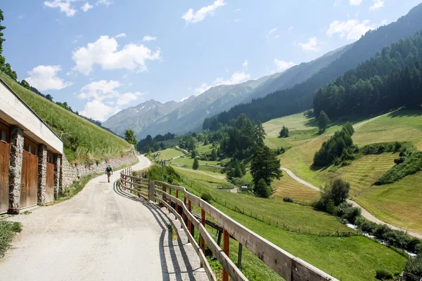 Route de montagne. Alpes autrichiennes — Photo