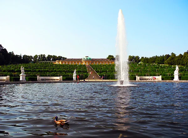 Complesso di Palazzo Sanssouci a Potsdam, Germania . — Foto Stock