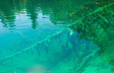 Temiz su, Hırvatistan..