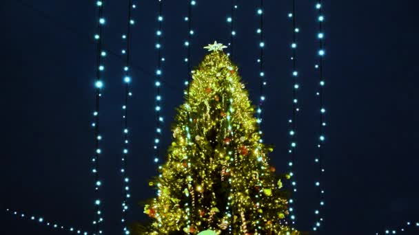 Vánoční Strom Dekorativní Města Světla Tmavě Modré Obloze Pozadí — Stock video