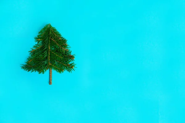 Pequeño Árbol Navidad Sobre Fondo Azul Claro Concepto Minimalista Navidad — Foto de Stock