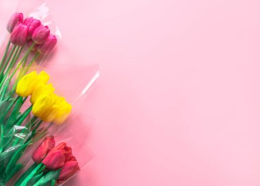 Hassas pastel, açık pembe kağıt arka planda taze lale buketleri. Sevgililer Günü için tebrik kartı, Anneler Günü ya da Kadınlar Günü için. Güzel bahar konsepti. Düz konum, üst görünüm, kopyalama alanı.