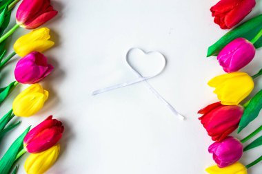 Beyaz arka planda kurdeleli taze laleler. Sevgililer günü için tebrik kartı, kadınlar günü, anneler günü, aile günü ya da diğer tatiller için. Düz yatıyordu. Boşluğu kopyala.