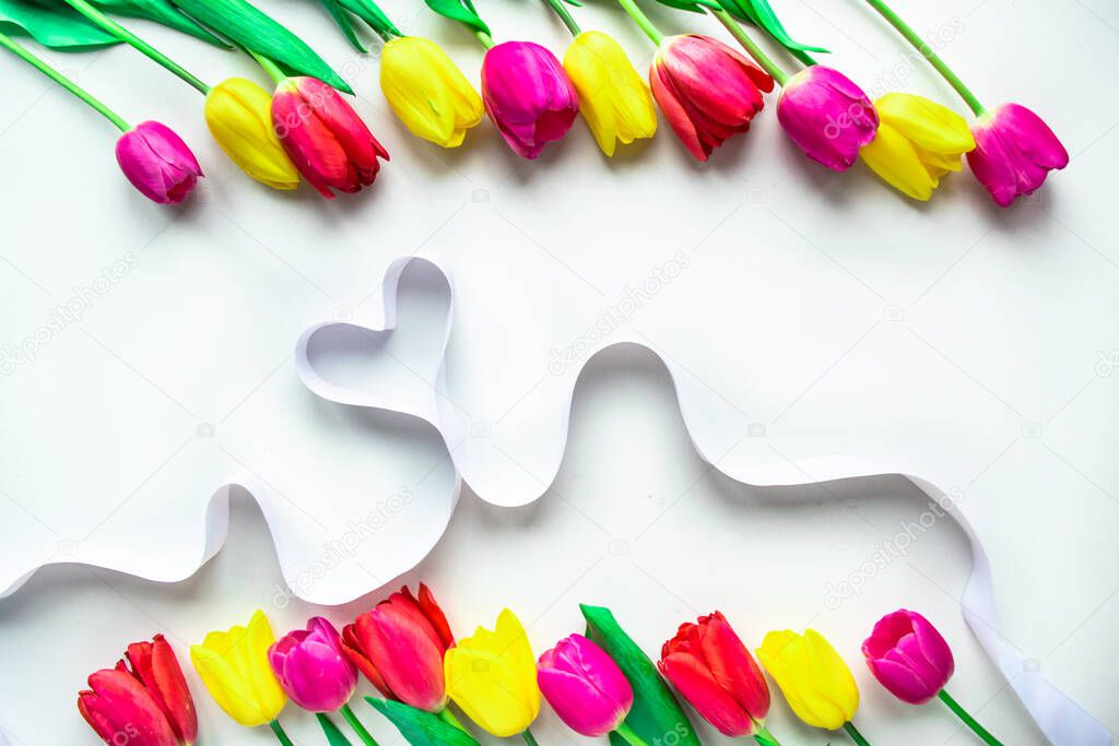 Colorfull fresh tulips flowers with ribbon heart on white background. Greeting card for Valentine's Day, Women's day, Mother's day, Family Day or other holiday. Flat lay. Copy space.