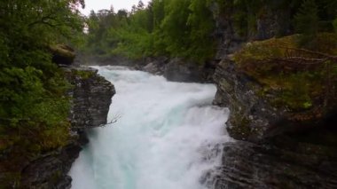 Slettafossen şelalesinin fırtınalı suları kayalarda bir kanal açmıştı. Yeşil ormanın Rocky yaz manzarası. Norveç.