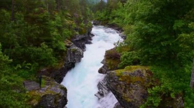 Slettafossen şelalesinin fırtınalı suları kayalarda bir kanal açmıştı. Yeşil ormanın Rocky yaz manzarası. Norveç.