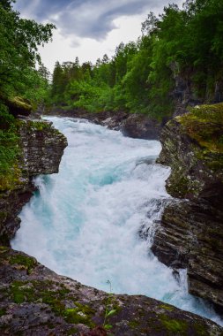 Slettafossen şelalesinin fırtınalı suları kayalarda bir kanal açmıştı. Yeşil ormanın Rocky yaz manzarası. Norveç.