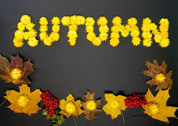 Palavra Outono Feito Cabeças Amarelas Flores Crisântemos Folhas Outono Cachos — Fotografia de Stock
