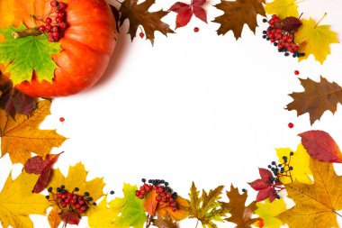 Oval çerçeve sonbahar sarısı ve kahverengi akçaağaç ve meşe yapraklarından yapılmış, kırmızı rowan ve mavi üzüm ve güzel turuncu balkabağı ile süslenmiş. Beyaz arka plan. opi alanı. Sonbahar kavramı.
