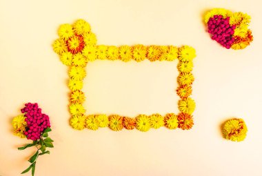 Sarı kasımpatı çiçeklerinden yapılmış dikdörtgen bir çerçeve. Açık sarı, bej arka planda bir sürü kırmızı rowan çileği. Sonbahar konsepti. Metin için şablon, boşluğu kopyala.