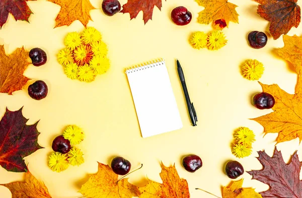 Caderno Branco Caneta Com Cabeças Flores Crisântemo Amarelo Fresco Folhas — Fotografia de Stock