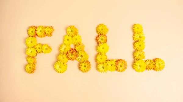 Slovo Podzim Čerstvě Rozkvetlých Chryzantémových Květů Ručně Vyrobený Podzimní Minimální — Stock fotografie