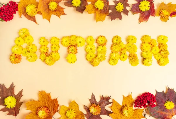 Palavra Outono Feito Cabeças Flores Amarelas Flores Crisântemos Quadro Feito — Fotografia de Stock