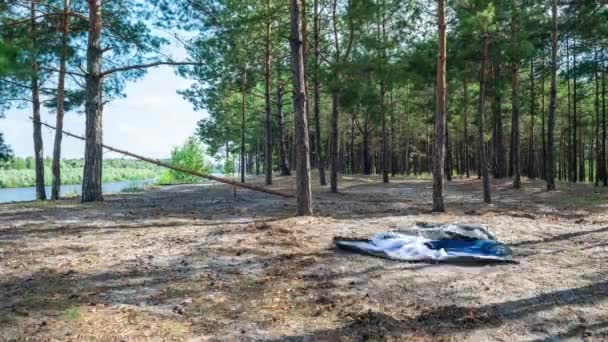 Magische Arrangement Van Kamperen Dennenbos Door Rivier Tenten Tafels Stoelen — Stockvideo