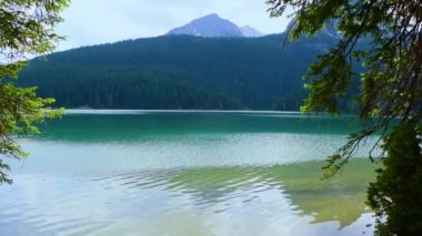 Med Peak 'li Buzul Kara Göl. Lake, Durmitor Ulusal Parkı 'nın birinci sınıf turistik merkezidir. Yürüme yolu gölün etrafında dönüyor ve dinlenme ve yürüyüş için popüler bir yer. Karadağ