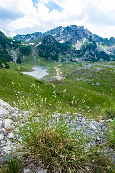 Bergkette Und Kleiner Gletschersee Vor Dem Hintergrund Grüner Hügel Und — Stockfoto