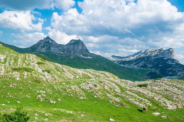 Sedlo Pass is the highest road pass in Montenegro. Durmitor National Park, along which picturesque tourist road of Montenegro passes. UNESCO World Heritage site. Beautiful summer cloudy landscape.