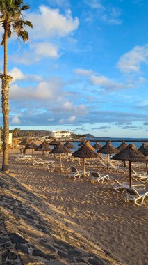Gün batımında palmiye ağaçları, güneş ışıkları ve şemsiyeleri olan güzel, geniş kumlu bir sahil. Playa de las Americas, Tenerife, İspanya. Atlantik Okyanusu.