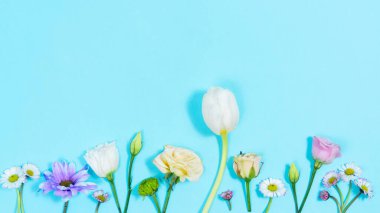 Açık mavi arka planda çeşitli çiçek ve tomurcuklar. Kutlama kartı, anneler günü için şablon, düğün, doğum günü veya bahar gelişi veya başka bir olay. Hareket animasyonunu durdur. Uzayı kopyala Düz Yat.