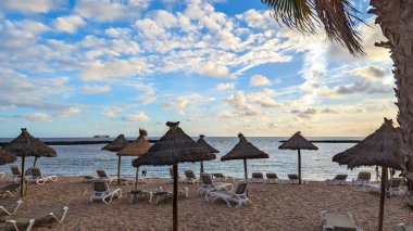 Gün batımında palmiye ağaçları, güneş ışıkları ve şemsiyeleri olan güzel, geniş kumlu bir sahil. Playa de las Americas, Tenerife, İspanya. Atlantik Okyanusu.