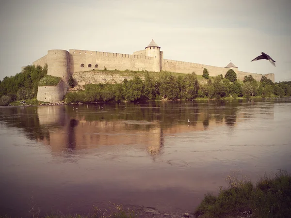 A Narva-folyó orosz partján Ivangorod Fortress. — Stock Fotó